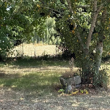 Indépendant Dans Maison Familiale Casa vacanze Etauliers